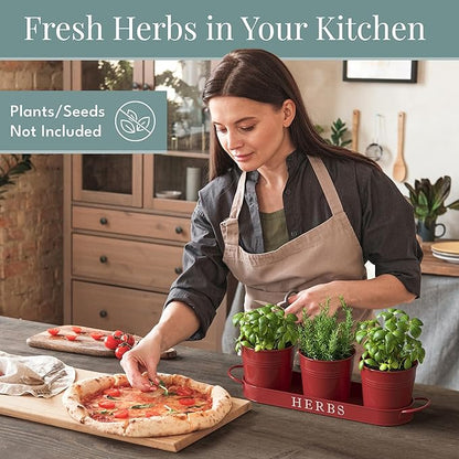 Barnyard Designs Indoor Herb Garden Planter Set