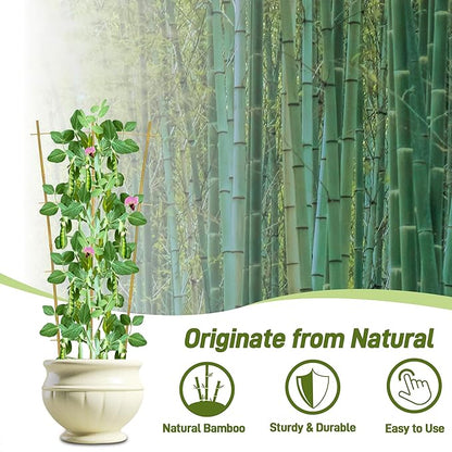 Avalution 10 Pack Bamboo Trellis