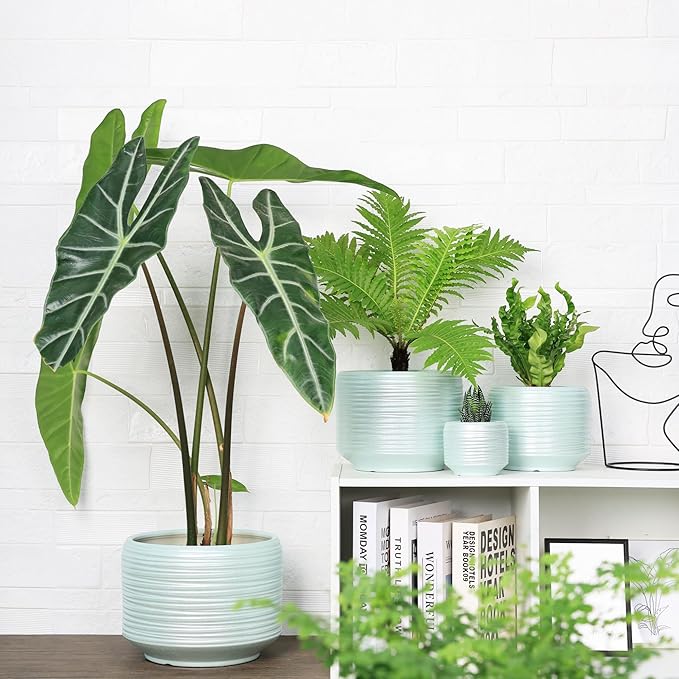 10 Inch Ceramic Plant Pot with Drainage – Large Flower Pot