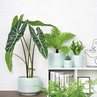 10 Inch Ceramic Plant Pot with Drainage – Large Flower Pot
