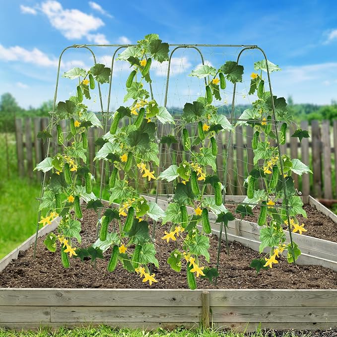 Lalahoni Cucumber Trellis,