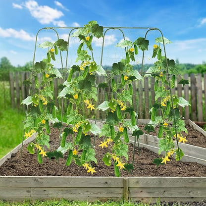 Lalahoni Cucumber Trellis,