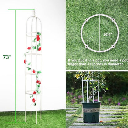 Garden Trellis for Climbing Plants, Rustproof Metal Pipe