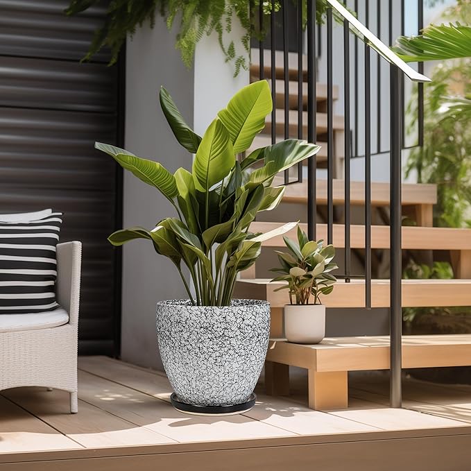 10 Inch Plant Pot