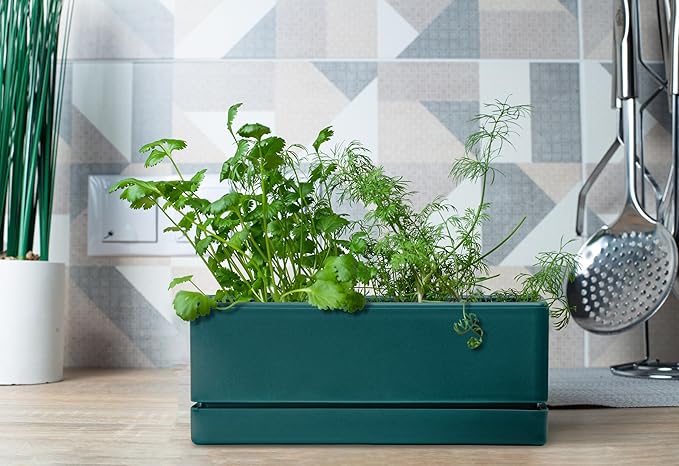 D'vine Dev 12 Inch Window Box Planter, Rectangle Plastic Herb Planter