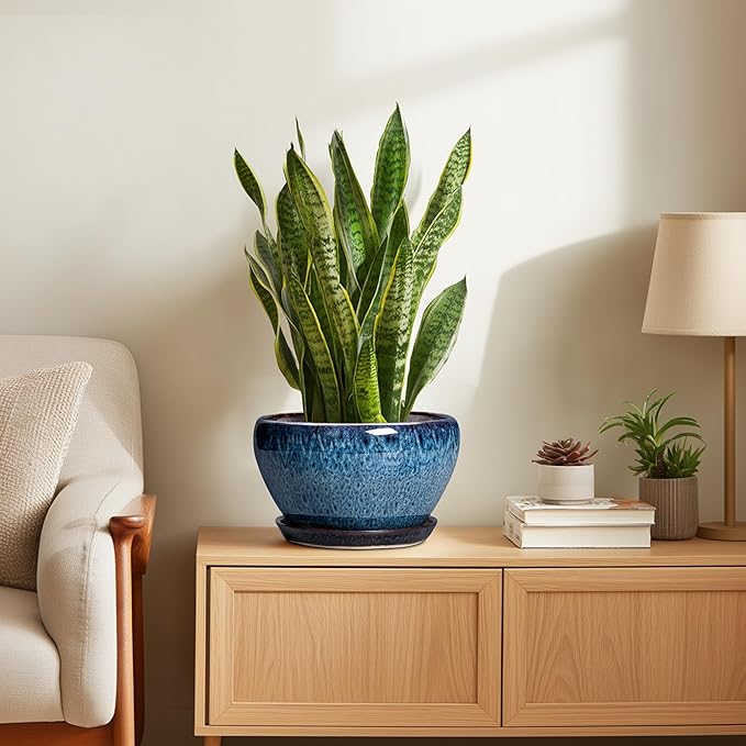 Ceramic Pots for Plants