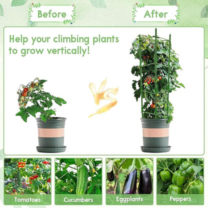Riare 2 Pack 5.2 FT Tomato Cages