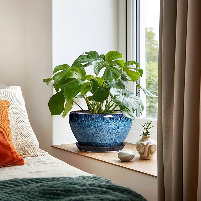 Ceramic Pots for Plants