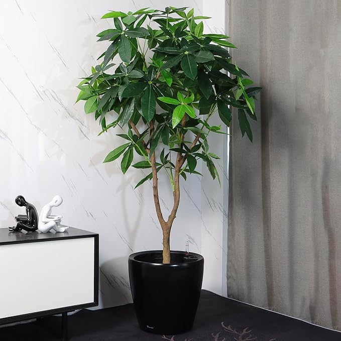 Dexceder 13x12 Self Watering Planter