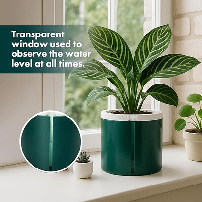 D'vine Dev 8 Inch Design Self Watering Planter