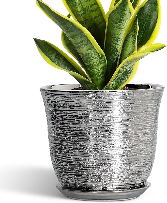 Ceramic Pots for Plants