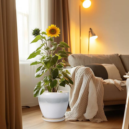 Ceramic Planter