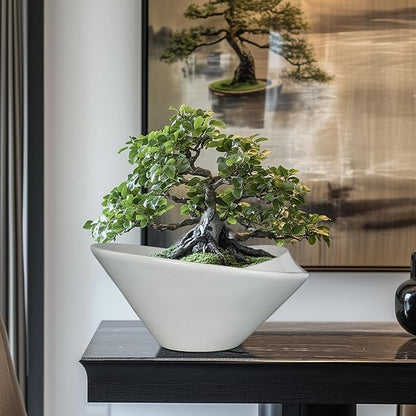 Bonsai Pots 13 Inch