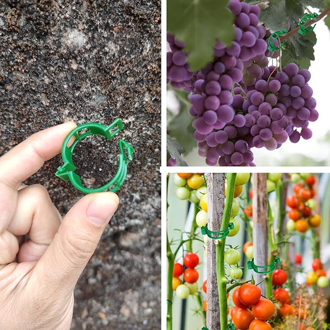 Plant Support Clips, Plastic Trellis Clips, Grape Vine Tomato Vine Vegetables