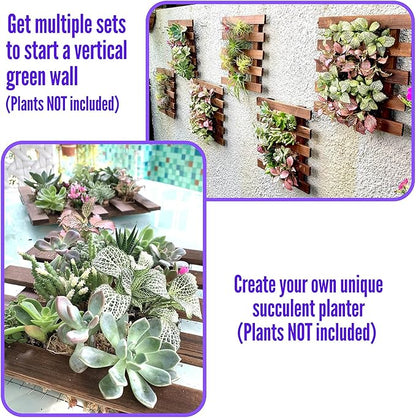 ShopLaLa Wall Planter