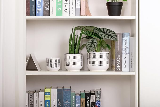 Docrin 3-Pack Ceramic Planters Set