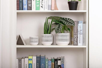 Docrin 3-Pack Ceramic Planters Set