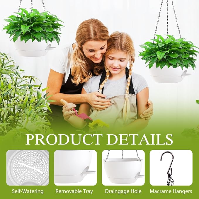 12 Inch Hanging Baskets 2 PC