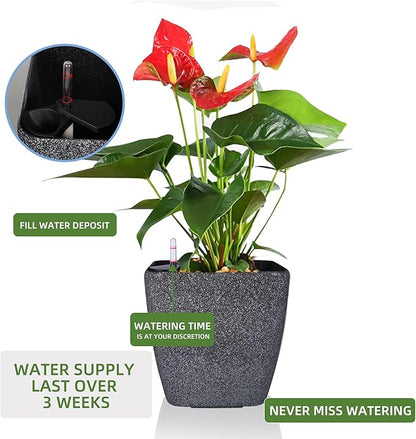 Dexceder 18x17 Self Watering Planter
