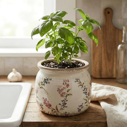 Flower Pots, Vintage Ceramic Planters