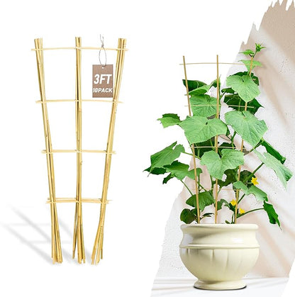 Avalution 10 Pack Bamboo Trellis