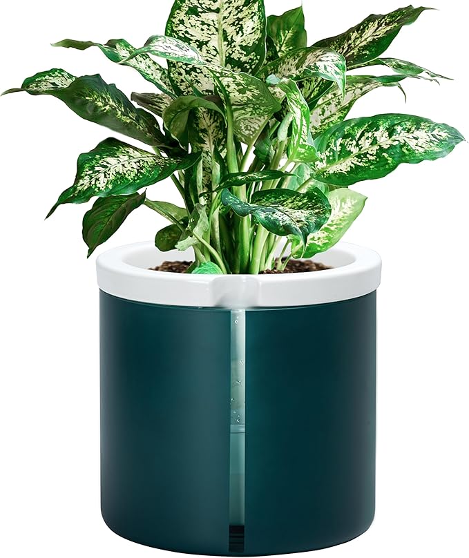 D'vine Dev 8 Inch Design Self Watering Planter