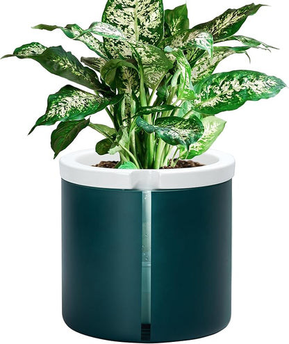 D'vine Dev 8 Inch Design Self Watering Planter