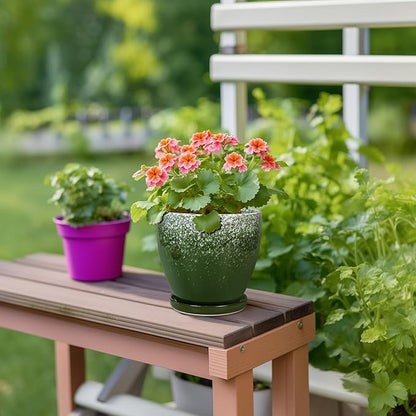 6 Inch Plant Pot