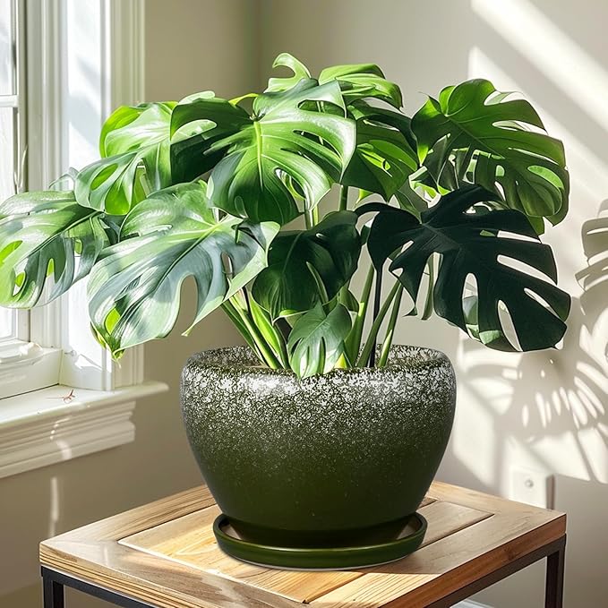 10 Inch Planter Pot