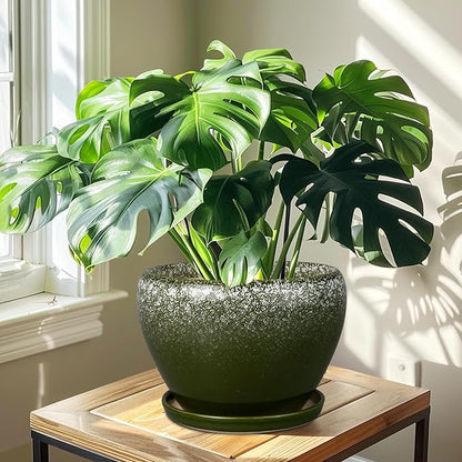 10 Inch Planter Pot