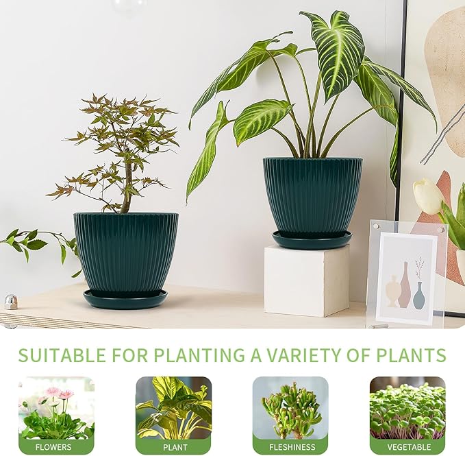 Plant Pots Indoor with Saucers & Drainage