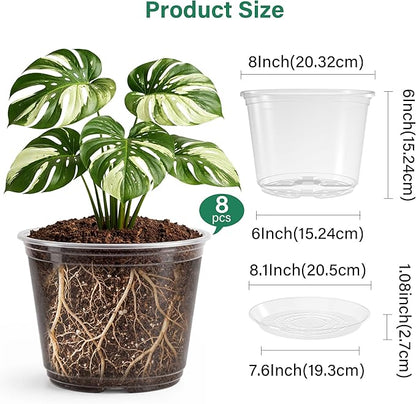 8 Packs 8 Inch Reinforced Large Clear Nursery Pots