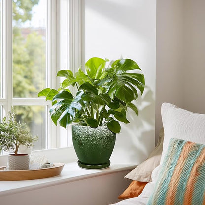 6 Inch Plant Pot