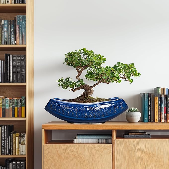 Bonsai Pots - 18 Inch Large Ceramic Succulent Pots