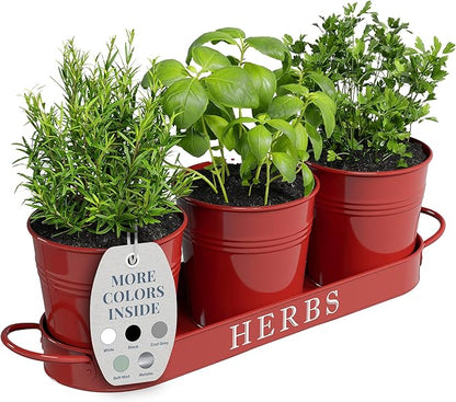 Barnyard Designs Indoor Herb Garden Planter Set