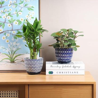 Selamica Ceramic Succulent Pots, 4.6 Inch Small Plant Pots