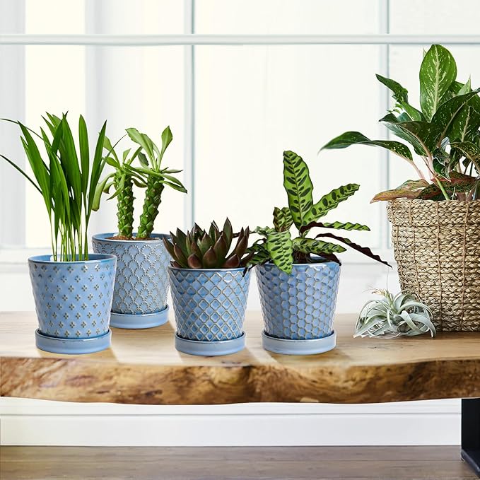 EFISPSS Plant Pots, 5 Inch Pots