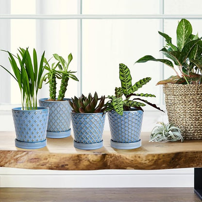 EFISPSS Plant Pots, 5 Inch Pots