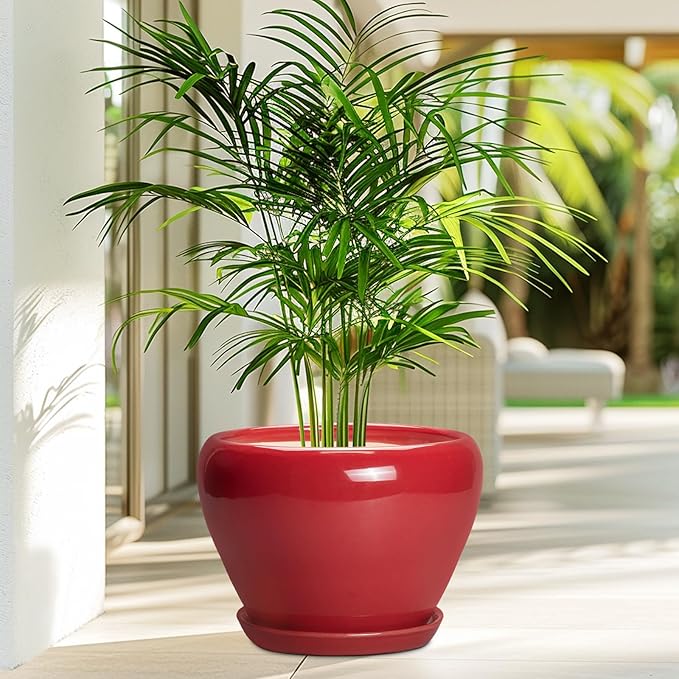 10 Inch Plant Pot