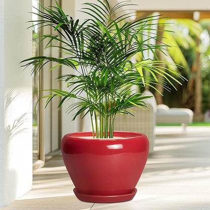 10 Inch Plant Pot