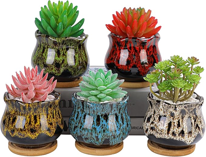 Cute Ceramic Succulent Garden Pots, Planter
