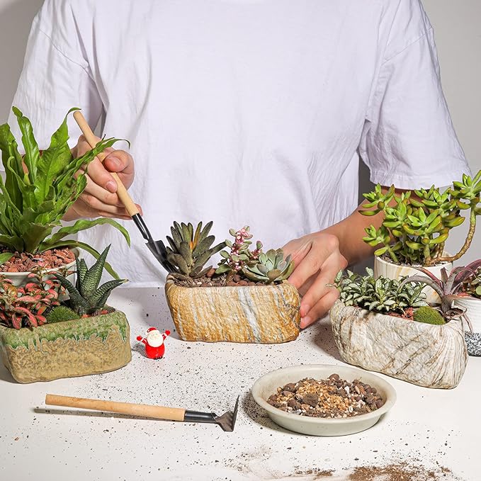 T4U 5.5 Inch Ceramic Succulent Pot Planter
