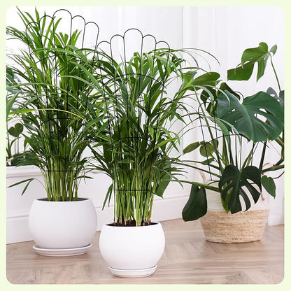 LEIFIDE 2 Pcs 33in Plant Trellis