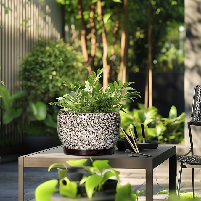 SQOWL Ceramic Plant Pots