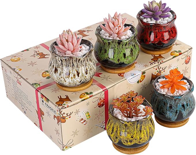 Cute Ceramic Succulent Garden Pots, Planter