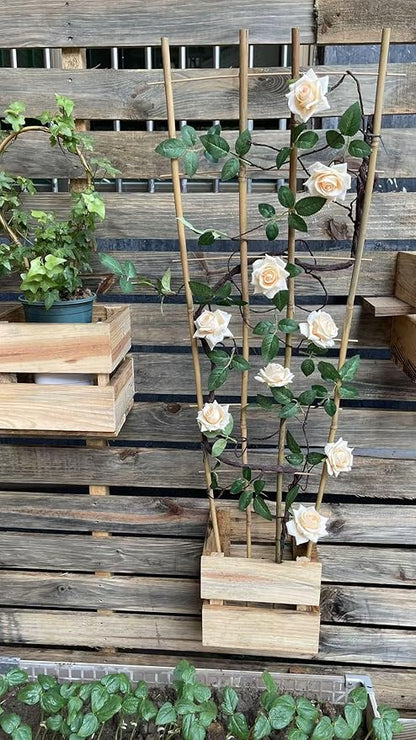 Natural Bamboo Trellis, Fan-Shaped Plant Support Trellis