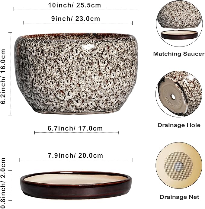SQOWL Ceramic Plant Pots