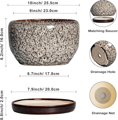 SQOWL Ceramic Plant Pots
