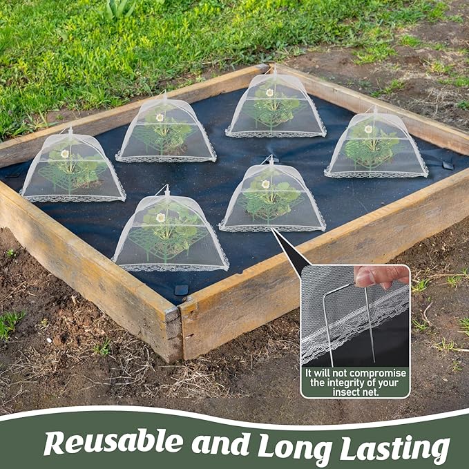 4 Sets Strawberry Plant Support