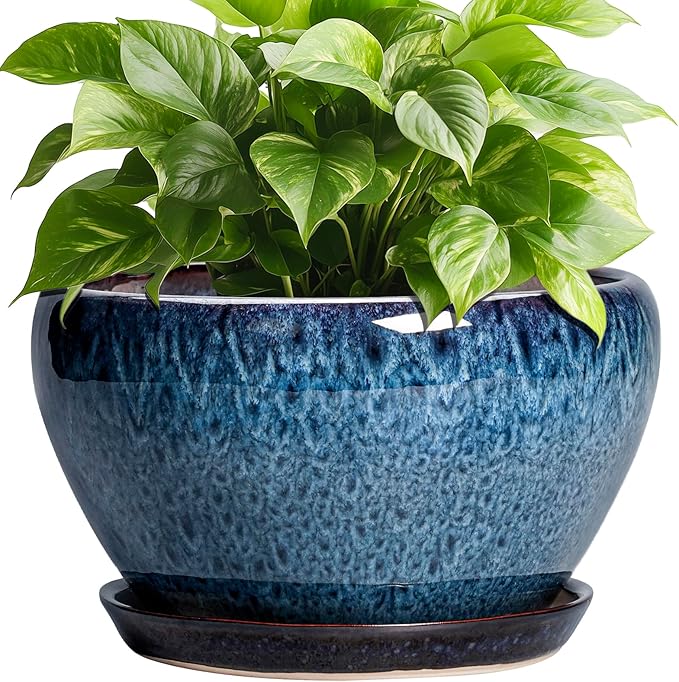 Ceramic Pots for Plants
